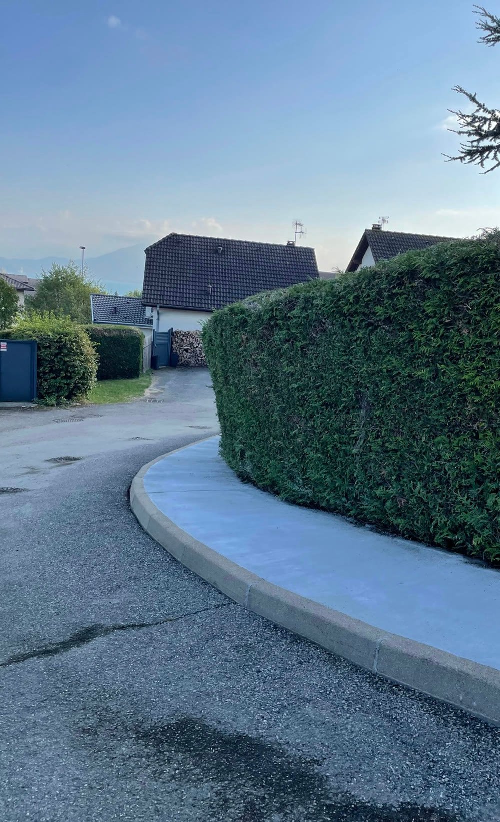 Bordure béton courbe le long d'une haie