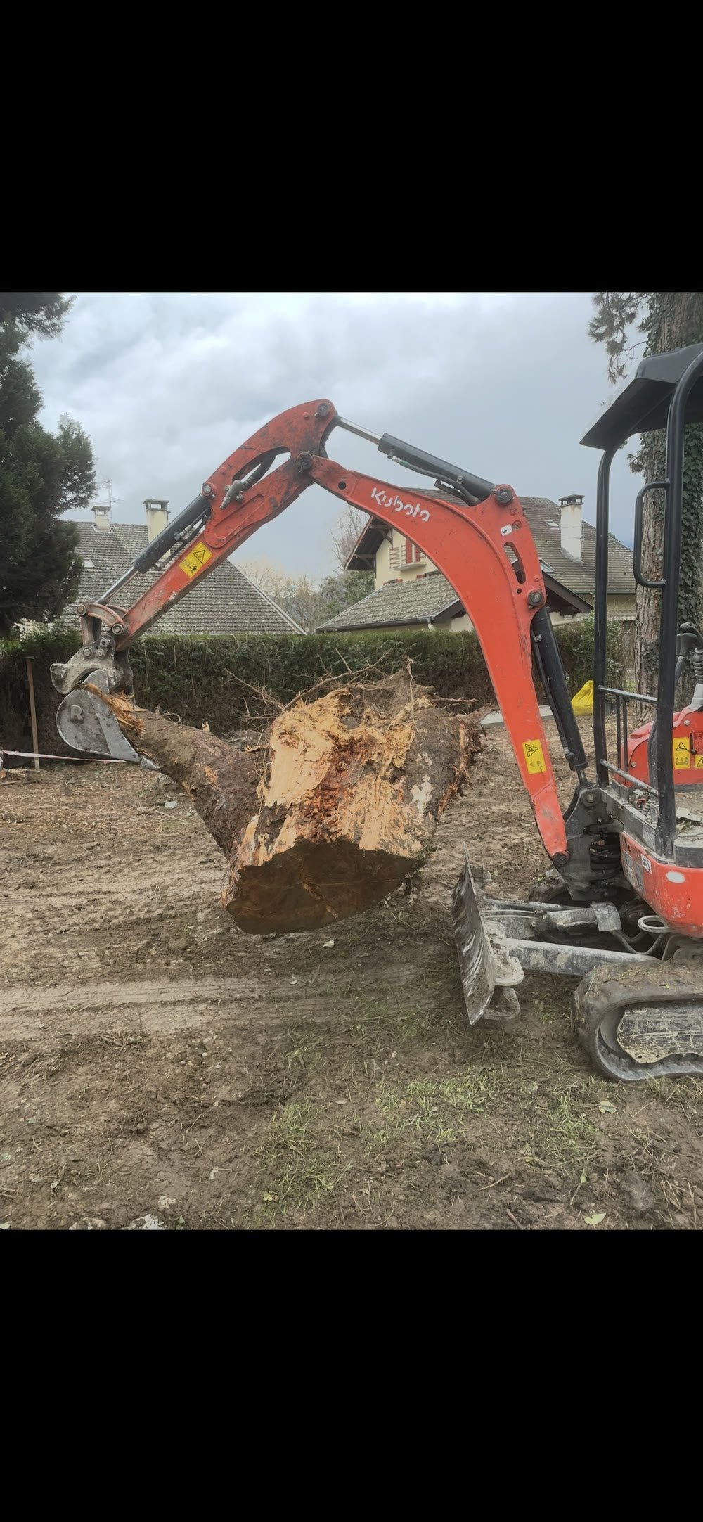 Mini-pelle arrachant une souche d'arbre